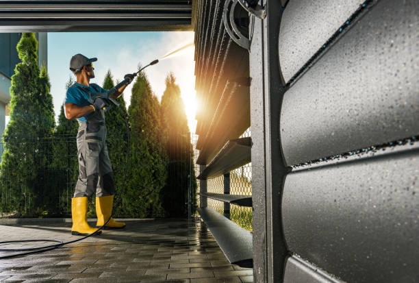 Best Roof Pressure Washing  in Harbor Bluffs, FL