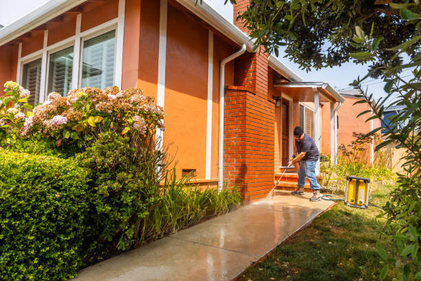 Best Deck Pressure Washing  in Harbor Bluffs, FL
